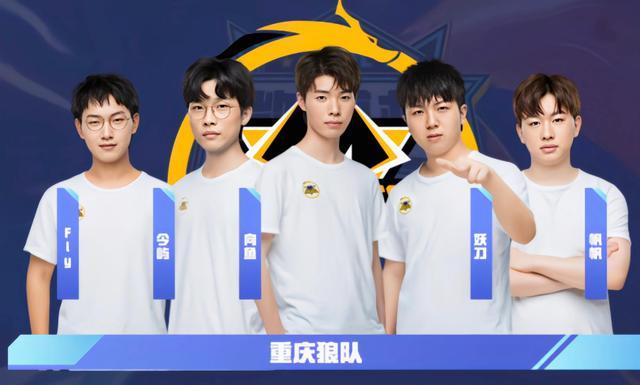 项目的崛起 项目的崛起