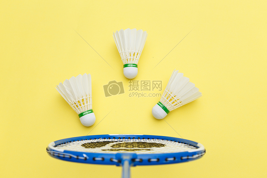 豪门关注的 豪门关注的